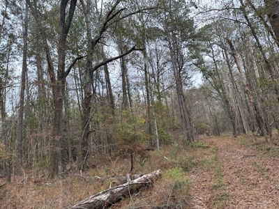 Shady Grove Hunters Retreat - image 19
