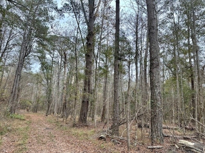 Shady Grove Hunters Retreat - image 18