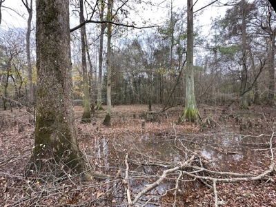 Shady Grove Hunters Retreat - image 39