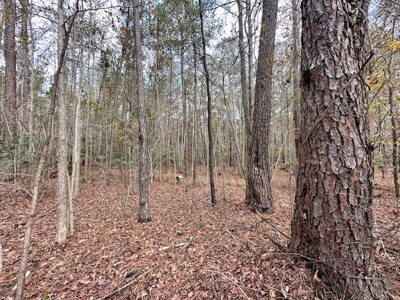 Shady Grove Hunters Retreat - image 14