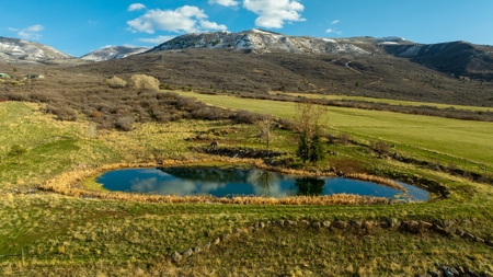 Colorado Hunting Ranch with Home, Shop, Greenhouse for Sale - image 39