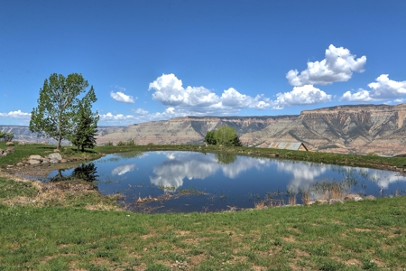 Colorado Hunting Ranch with Home, Shop, Greenhouse for Sale - image 19