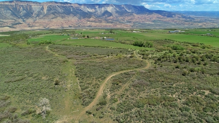 Colorado Hunting Ranch with Home, Shop, Greenhouse for Sale - image 4