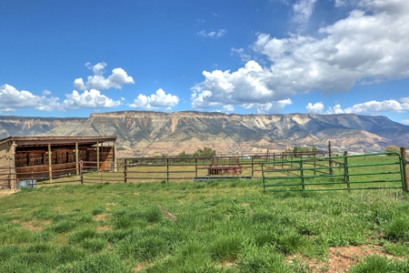 Colorado Hunting Ranch with Home, Shop, Greenhouse for Sale - image 18
