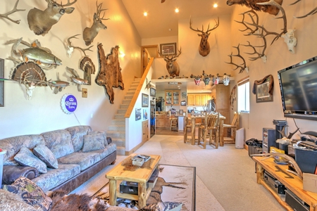 Colorado Hunting Ranch with Home, Shop, Greenhouse for Sale - image 11