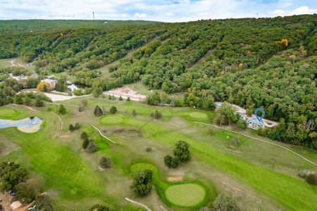 1/4 Ownership (Week 4) located along Devil’s Head Resort - image 44