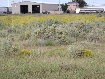 3.5 acres of commercial development land in Moriarty, NM - image 2