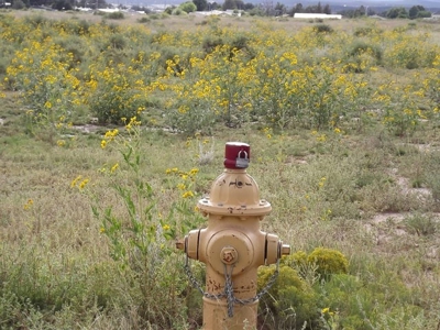 3.5 acres of commercial development land in Moriarty, NM - image 9
