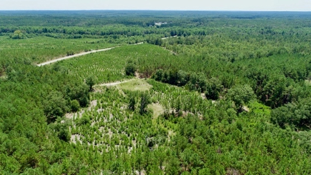 Offering #1 - Land for Sale in Kershaw County SC - image 7