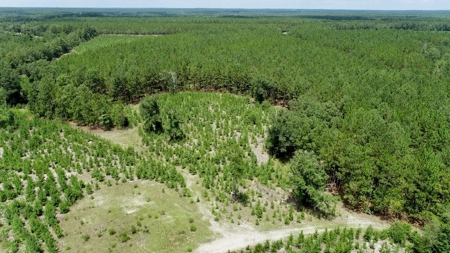 Offering #1 - Land for Sale in Kershaw County SC - image 2