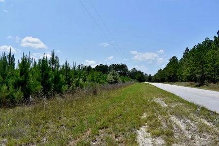 Offering #1 - Land for Sale in Kershaw County SC - image 31