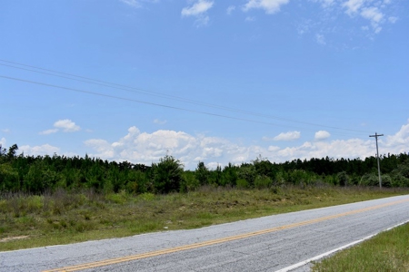 Offering #1 - Land for Sale in Kershaw County SC - image 9