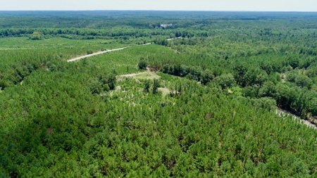 Offering #1 - Land for Sale in Kershaw County SC - image 6