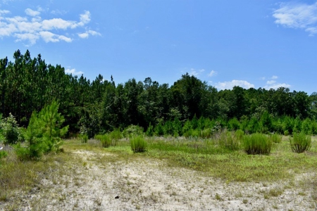 Offering #1 - Land for Sale in Kershaw County SC - image 27