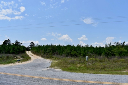 Offering #2 - Wooded Land for Sale in Camden SC - image 3