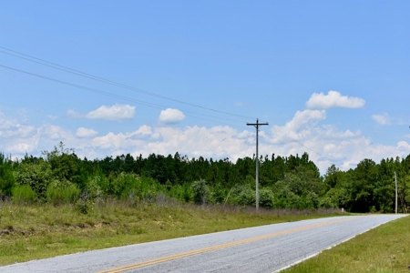 Offering #2 - Wooded Land for Sale in Camden SC - image 25