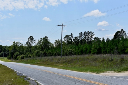 Offering #2 - Wooded Land for Sale in Camden SC - image 17