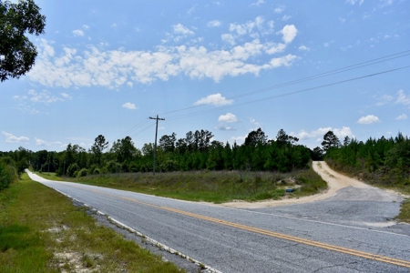 Offering #2 - Wooded Land for Sale in Camden SC - image 4