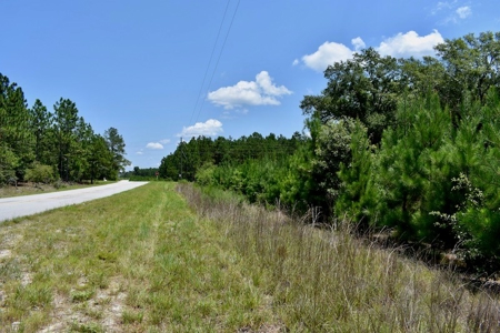 Offering #2 - Wooded Land for Sale in Camden SC - image 13