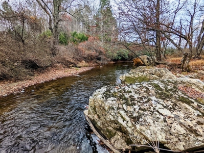 Riverfront Land for Sale in Copper Hill VA - image 1