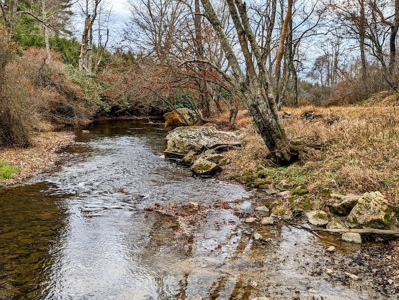 Riverfront Land for Sale in Copper Hill VA - image 7