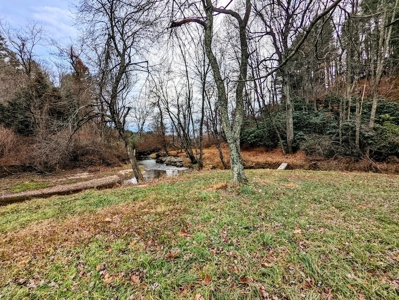 Riverfront Land for Sale in Copper Hill VA - image 10