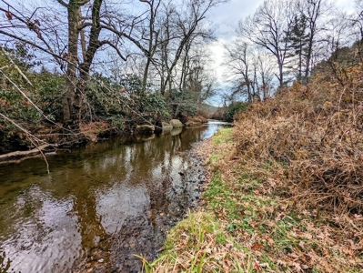 Riverfront Land for Sale in Copper Hill VA - image 8