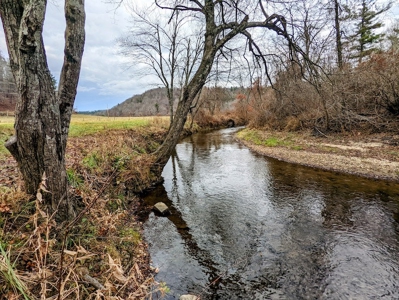 Riverfront Land for Sale in Copper Hill VA - image 6