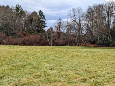 Riverfront Land for Sale in Copper Hill VA - image 2