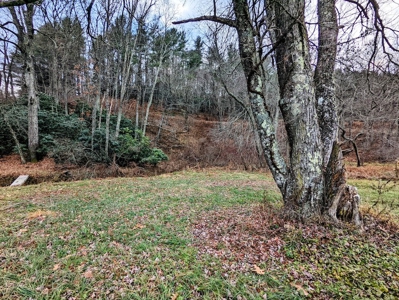 Riverfront Land for Sale in Copper Hill VA - image 5