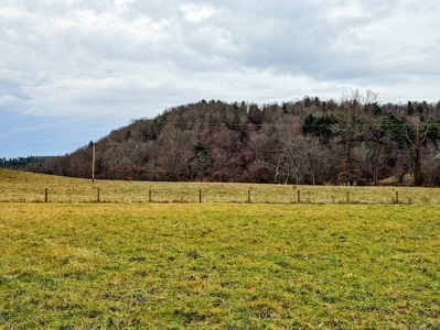Riverfront Land for Sale in Copper Hill VA - image 3