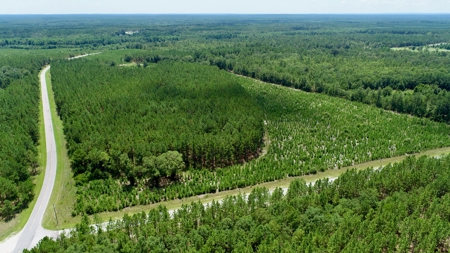 Offering 1-Land for Sale in Kershaw County, SC - image 9