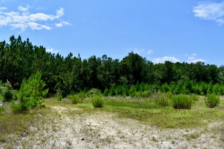Offering 1-Land for Sale in Kershaw County, SC - image 29