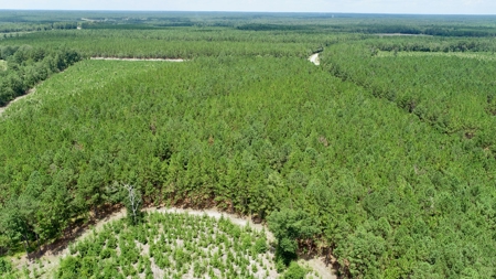 Offering 1-Land for Sale in Kershaw County, SC - image 6
