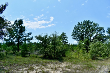 Offering 1-Land for Sale in Kershaw County, SC - image 21