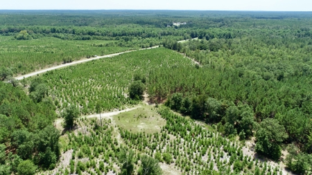 Offering 1-Land for Sale in Kershaw County, SC - image 13