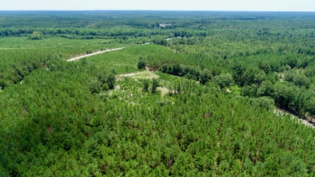 Offering 1-Land for Sale in Kershaw County, SC - image 11