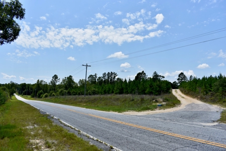 Offering 2-Wooded Land for Sale in Camden SC - image 16