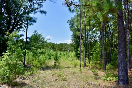 Offering 2-Wooded Land for Sale in Camden SC - image 27