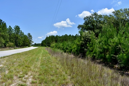 Offering 2-Wooded Land for Sale in Camden SC - image 36