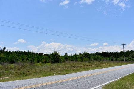 Offering 2-Wooded Land for Sale in Camden SC - image 15