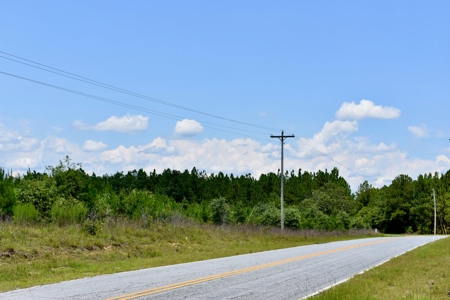 Offering 2-Wooded Land for Sale in Camden SC - image 14