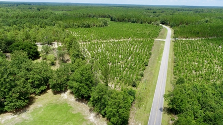 Offering 2-Wooded Land for Sale in Camden SC - image 2