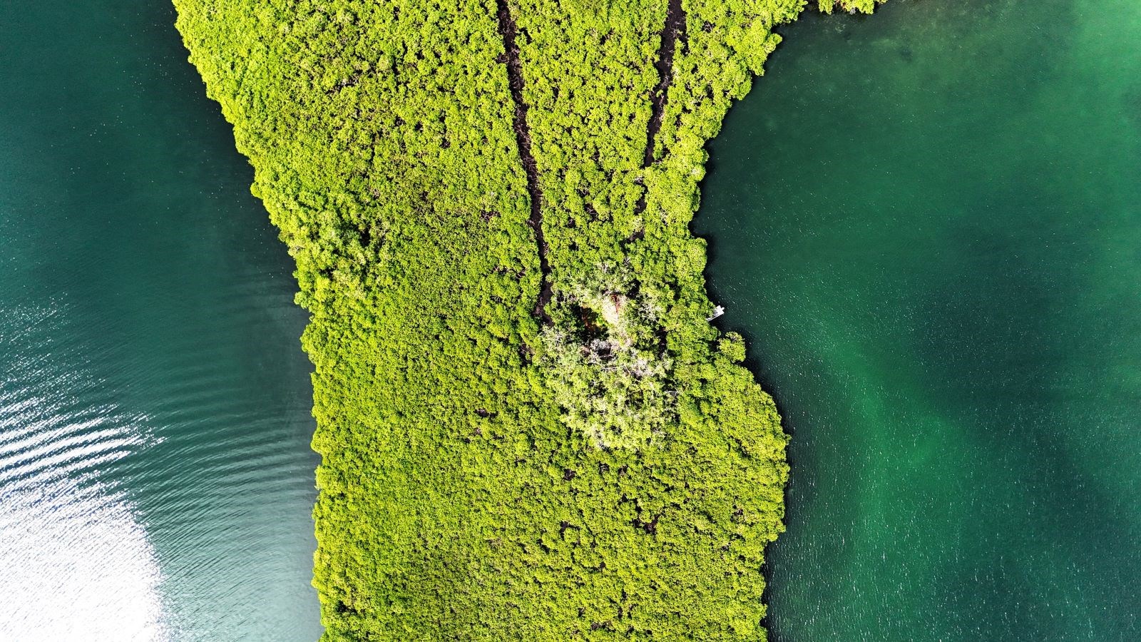 Private Tiny Island, 318 m² — Tierra Oscura - 8