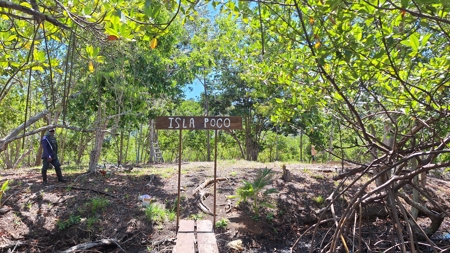 Tiny Island (Isla Poca) for Sale in Bocas del Toro, Panama - image 12