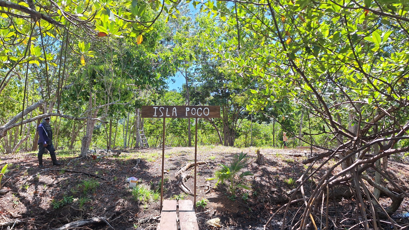 Private Tiny Island, 318 m² — Tierra Oscura - 6