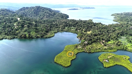 Tiny Island (Isla Poca) for Sale in Bocas del Toro, Panama - image 6