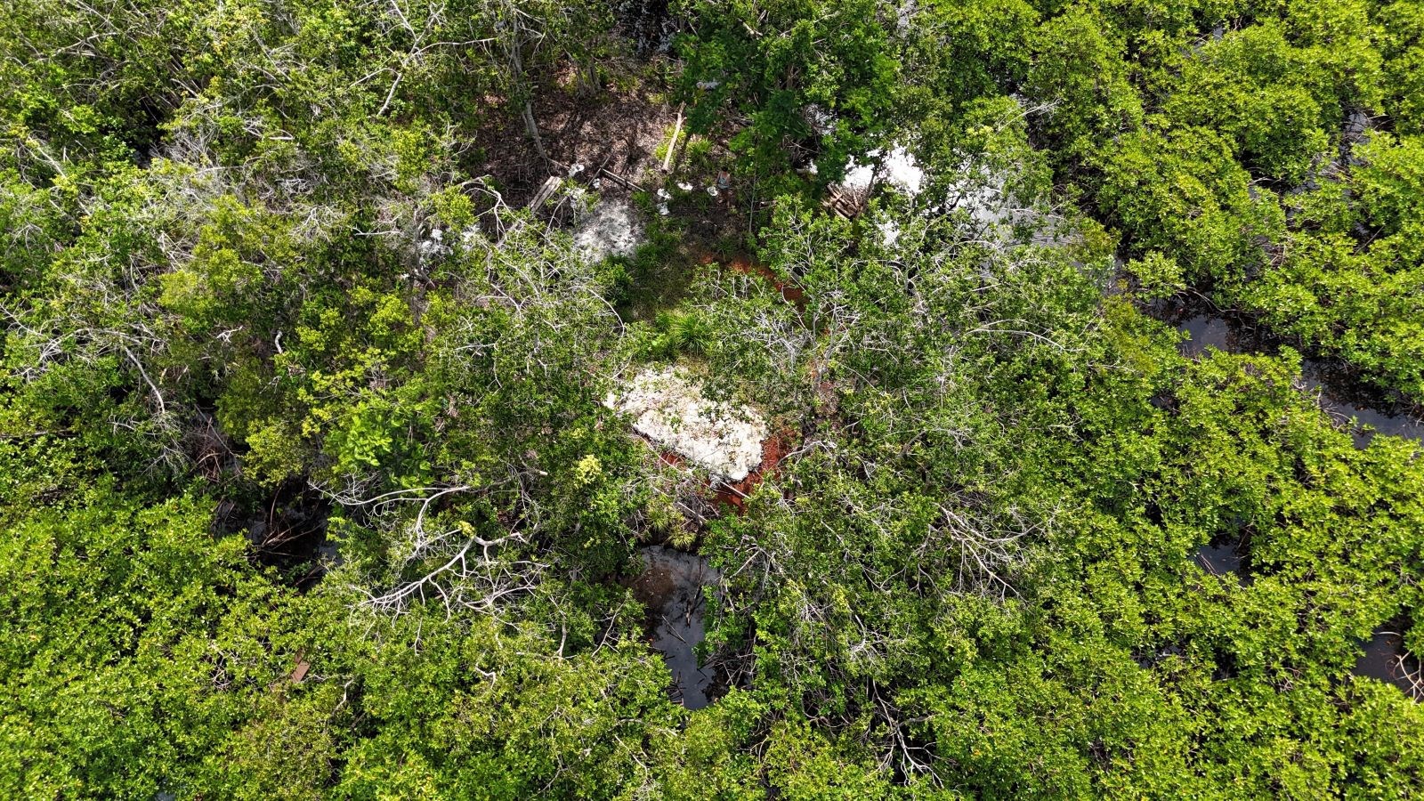 Private Tiny Island, 318 m² — Tierra Oscura - 10