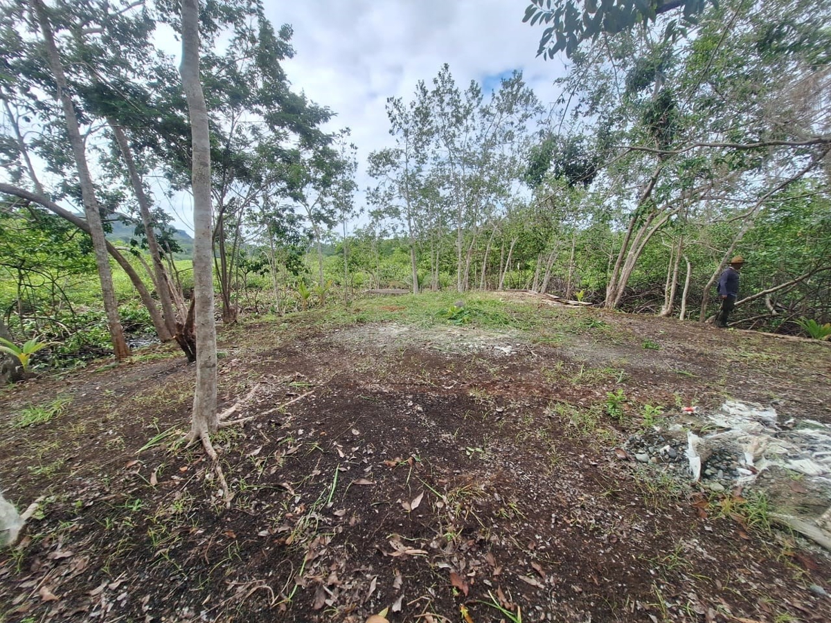 Private Tiny Island, 318 m² — Tierra Oscura - 5