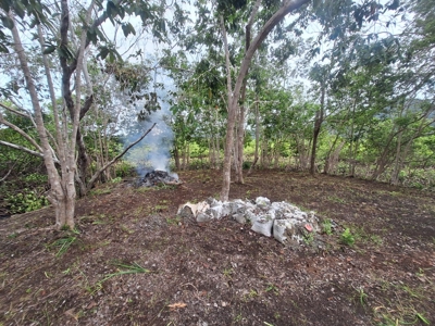 Tiny Island (Isla Poca) for Sale in Bocas del Toro, Panama - image 10